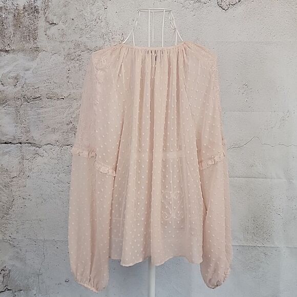 Express Sheer Peach Colored Blouse With Embroidered Details Womens Size Lg - Picture 7 of 11